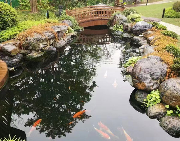 上犹实景案例